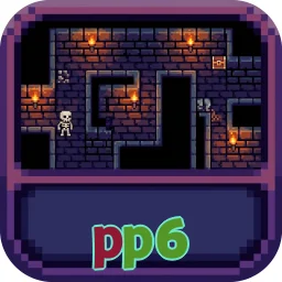 pp6